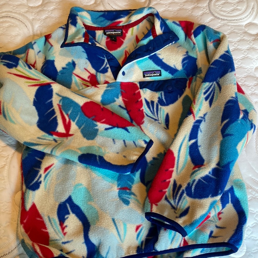 Patagonia Synchilla Pullover